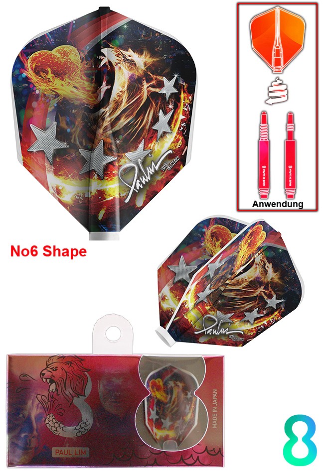 TARGET 8 Flight Paul Lim NO6 Shape