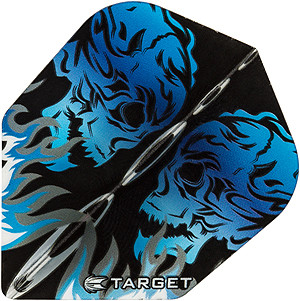 TARGET Pro 100 VISION No6